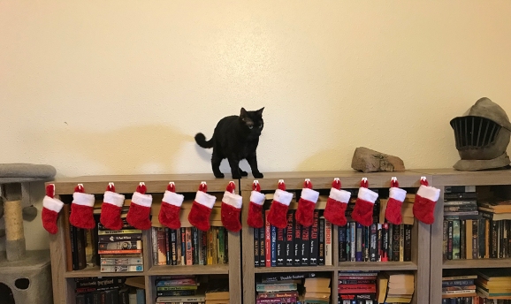 SMALL black cat on top of bookshelf with small, red Christmas stockings hung along the edge.