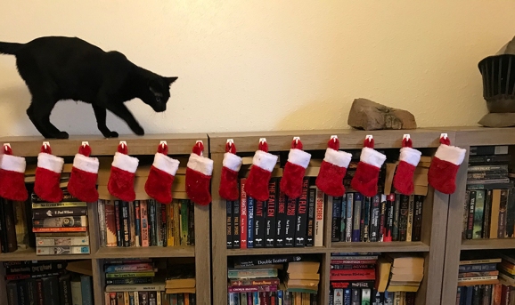 Black cat on top of bookshelf with small, red Christmas stockings hung along the edge.
